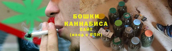 ГАЛЛЮЦИНОГЕННЫЕ ГРИБЫ Абаза
