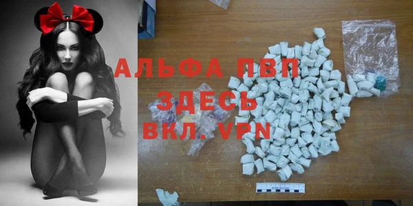 ГАЛЛЮЦИНОГЕННЫЕ ГРИБЫ Абаза