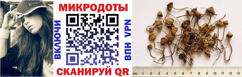 Псилоцибиновые грибы GOLDEN TEACHER  дарк нет как зайти  Кимовск  продажа наркотиков 