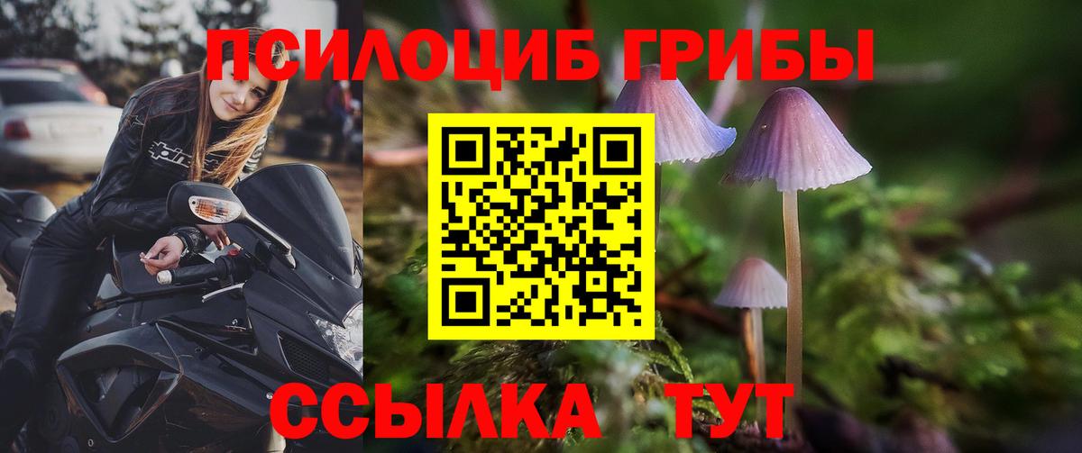 Псилоцибиновые грибы Кимовск