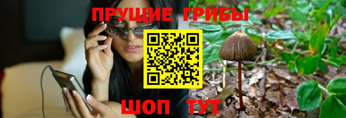 Псилоцибиновые грибы MAGIC MUSHROOMS  Вход с VPN  Кимовск  Галлюциногенные грибы Magic Shrooms 
