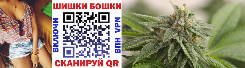 Бошки Шишки гибрид Кимовск